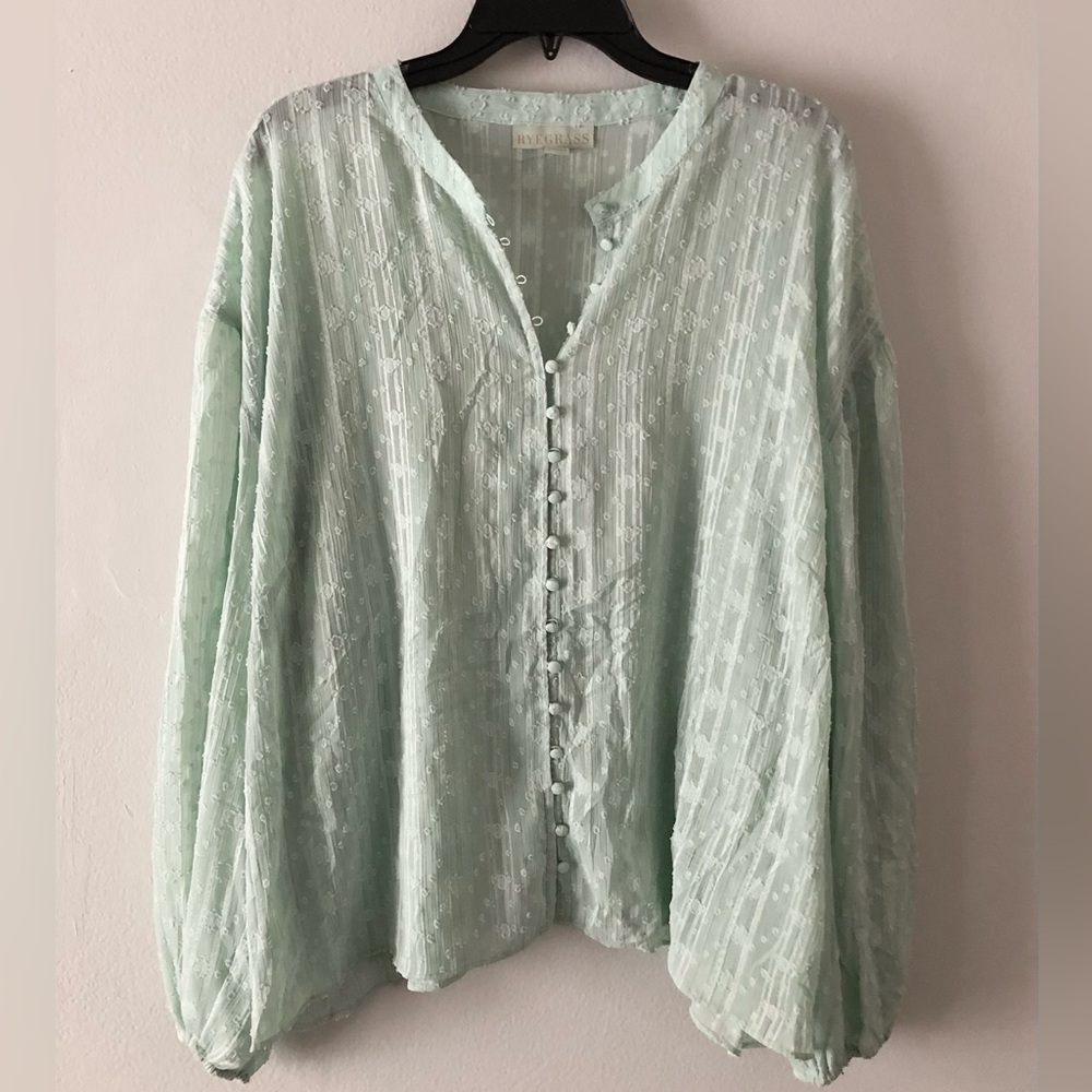 Ryegrass Mint Button-Front Blouse 2X